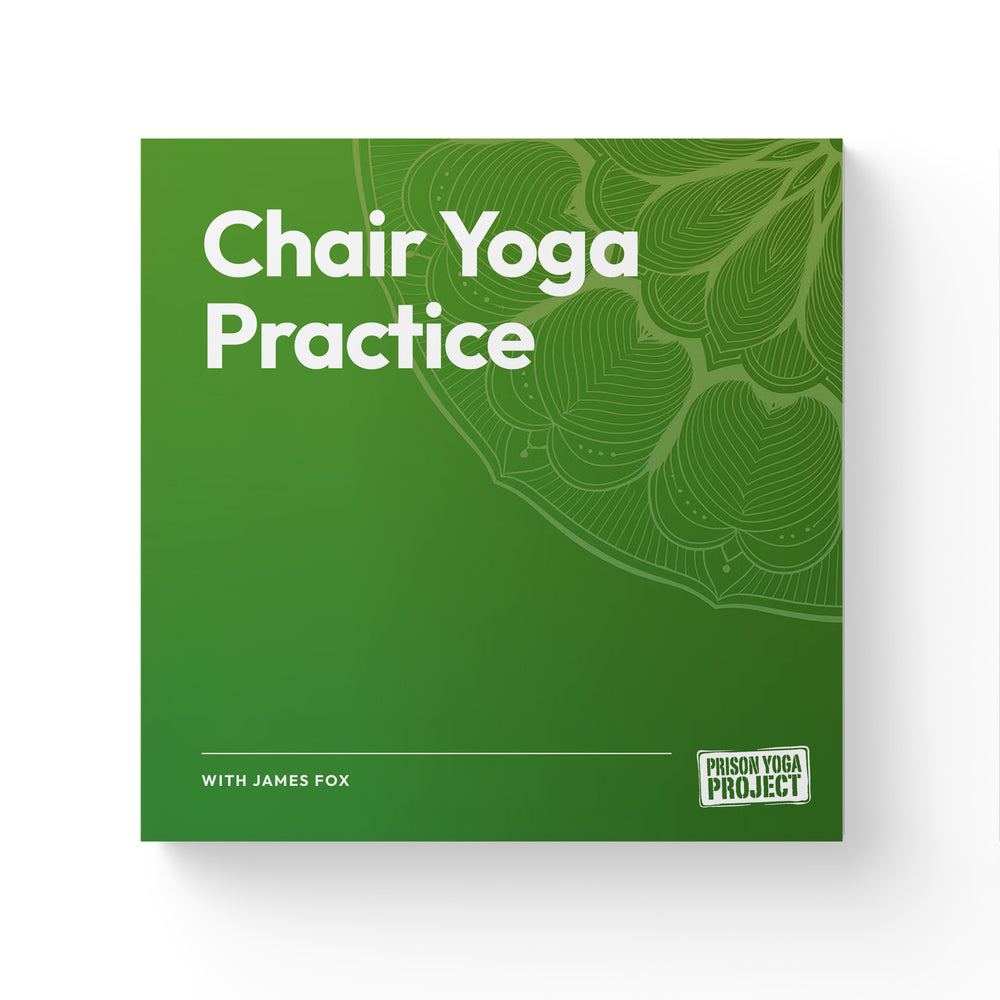 Chair Yoga Practice with James Fox (Download)