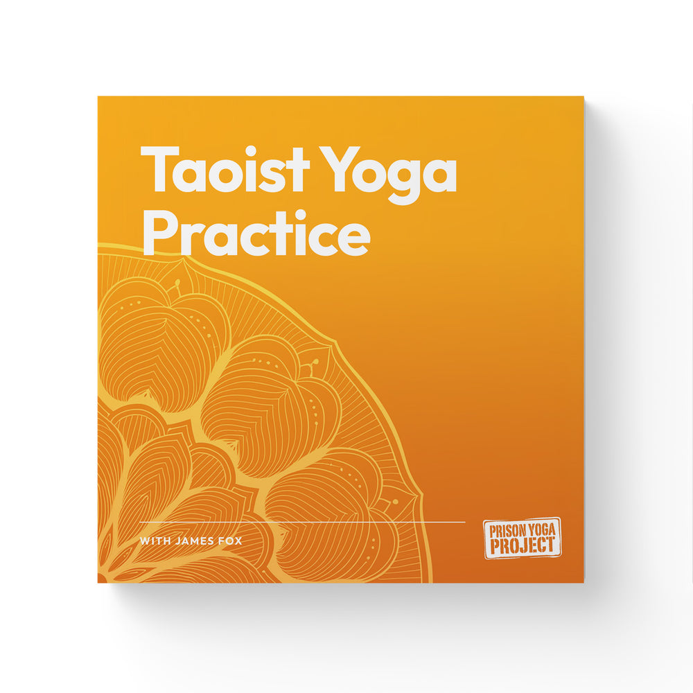 Taoist Yoga Practice with James Fox (Download)