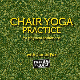 Chair Yoga Practice with James Fox (Download)
