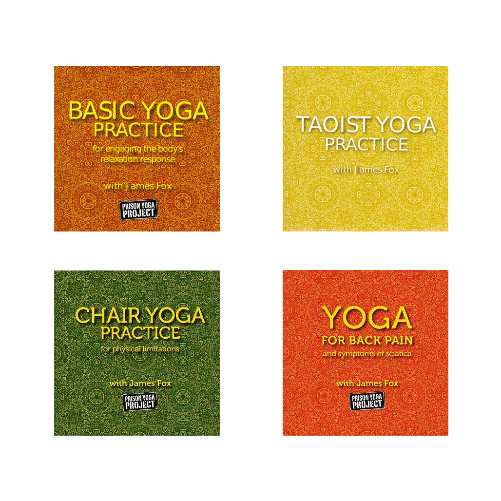 Four Downloads: Basic, Taoist, Chair, and Back Pain Yoga Practices