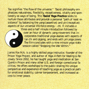 Taoist Yoga Practice with James Fox (Download)